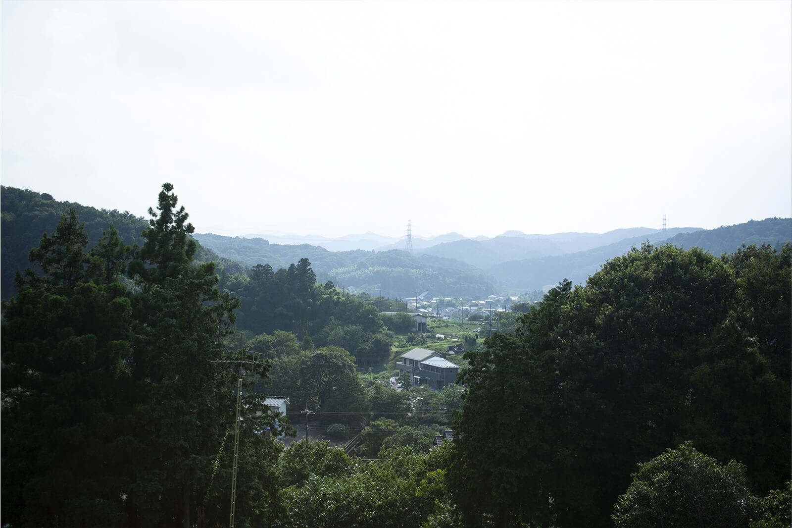 何気ない日本の風景、東京にある里山を感じる